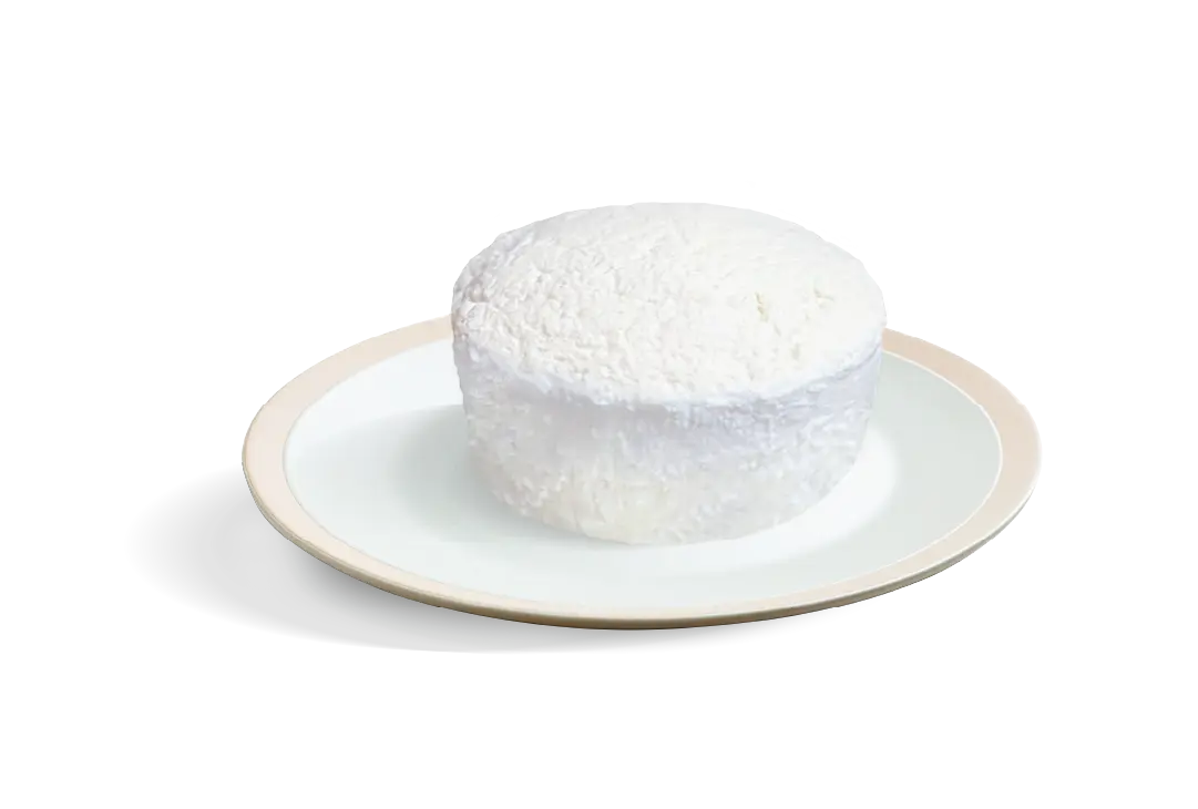 requeijão vaca Lactiviva